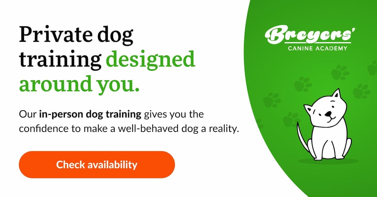 Breyers' Canine Academy
