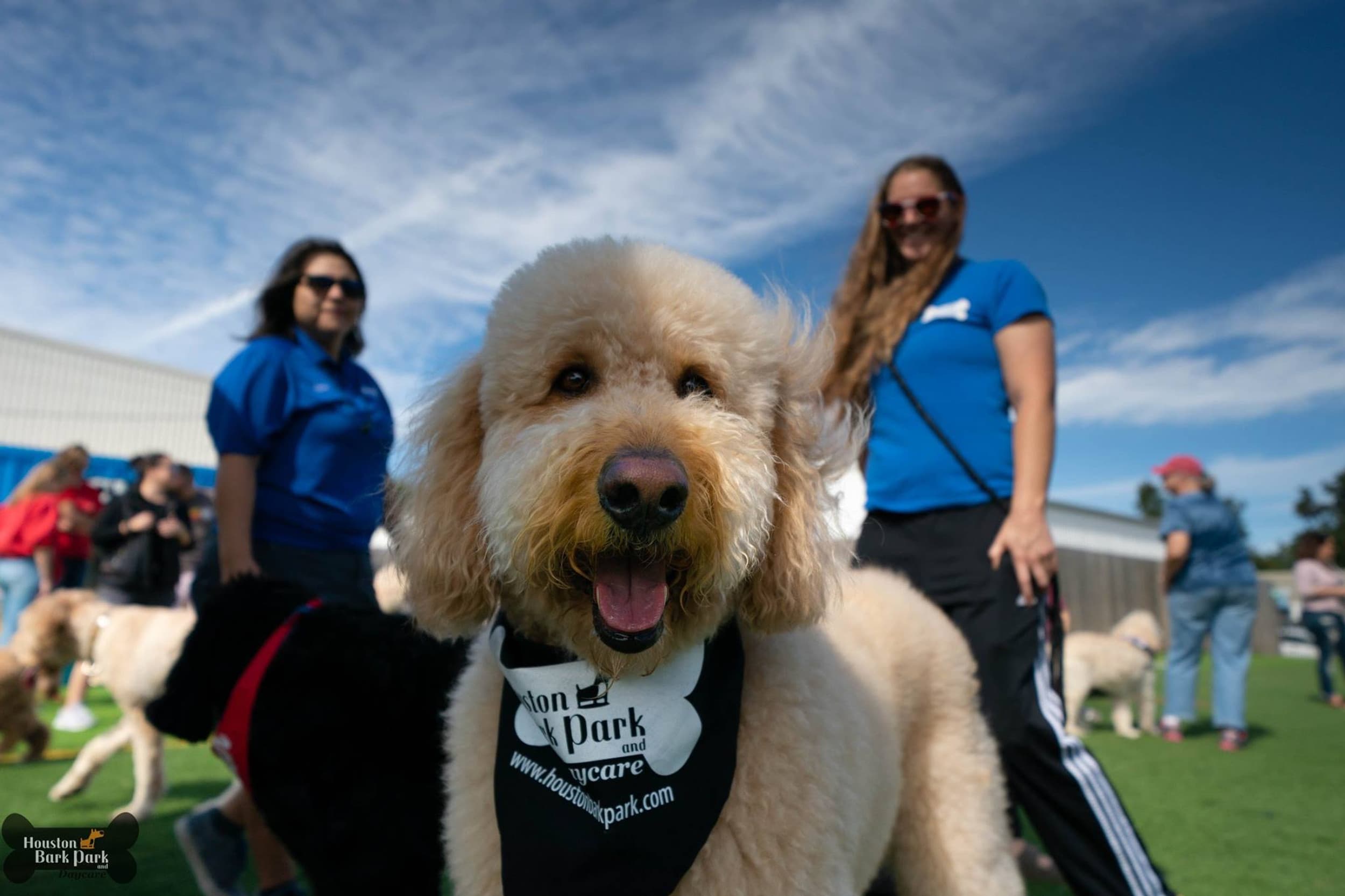 Houston Bark Park and Daycare photo