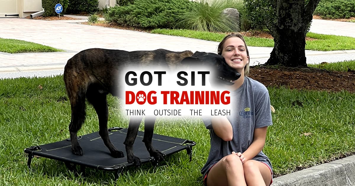 Got Sit Dog Training San Diego