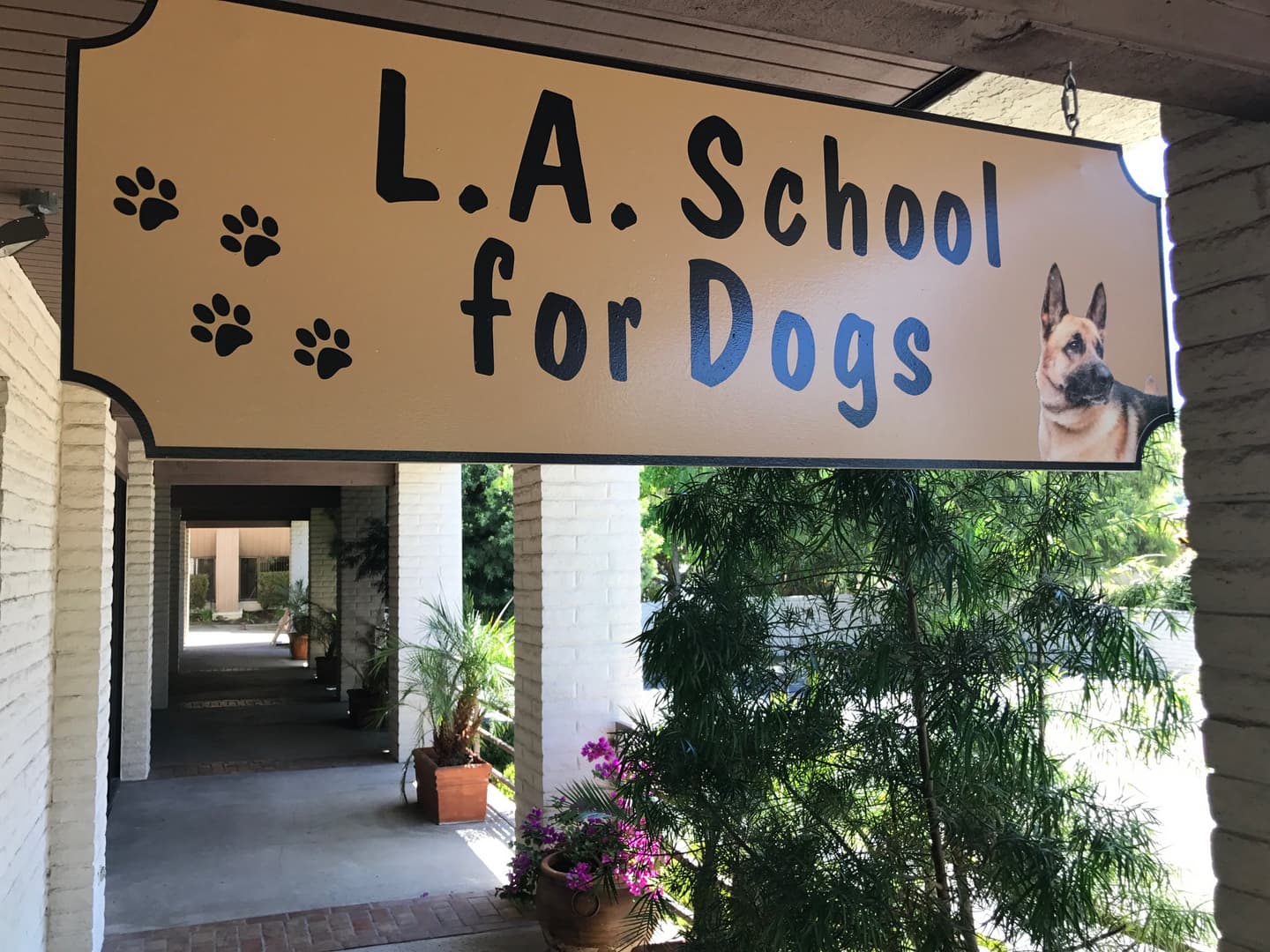 L A School For Dogs - Best Dog School in California