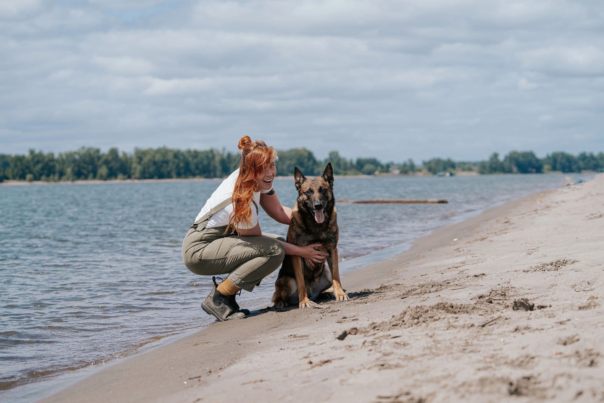 Curated Canines Dog Training - San Diego