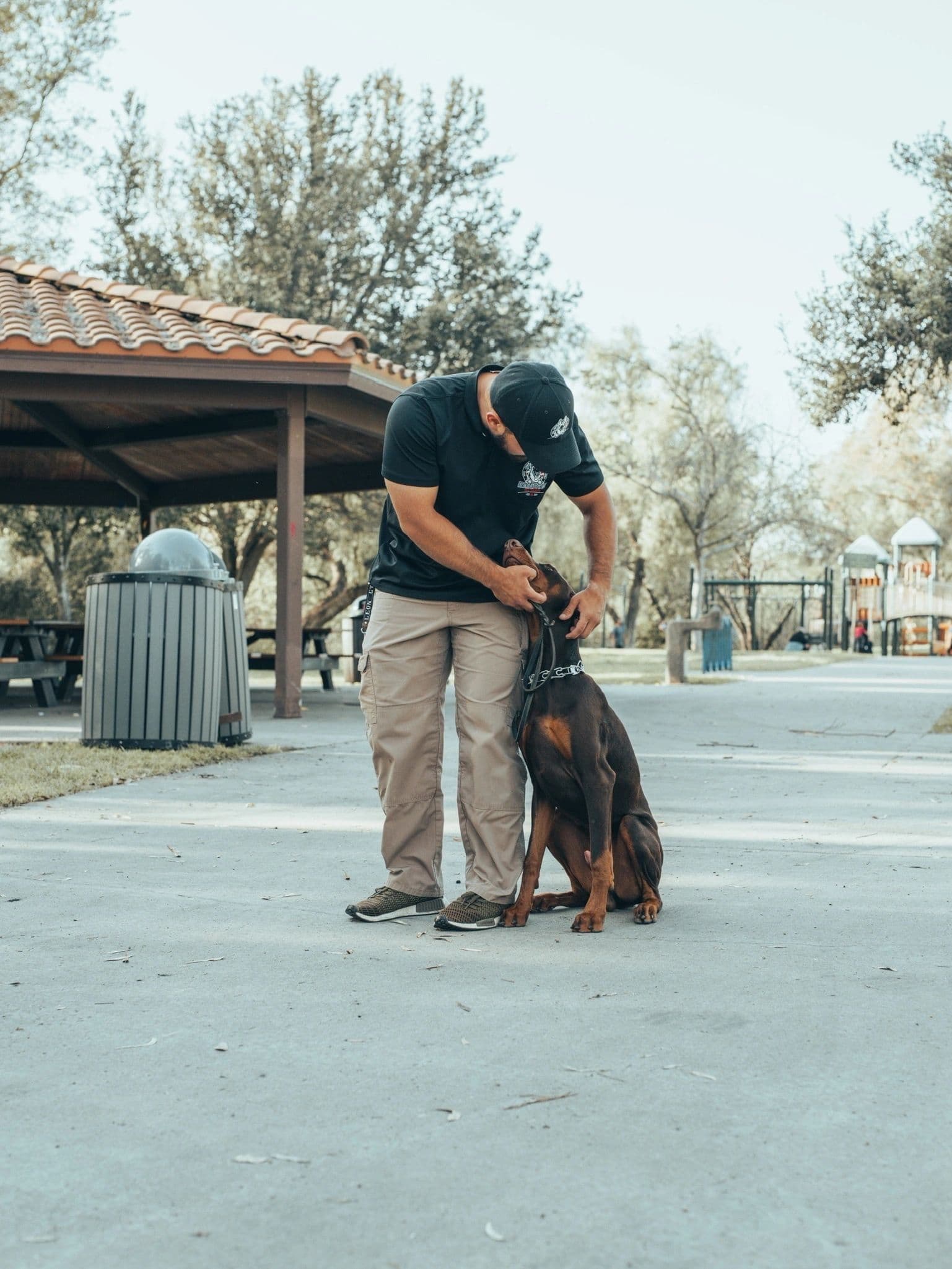 America's Finest Dog Training photo