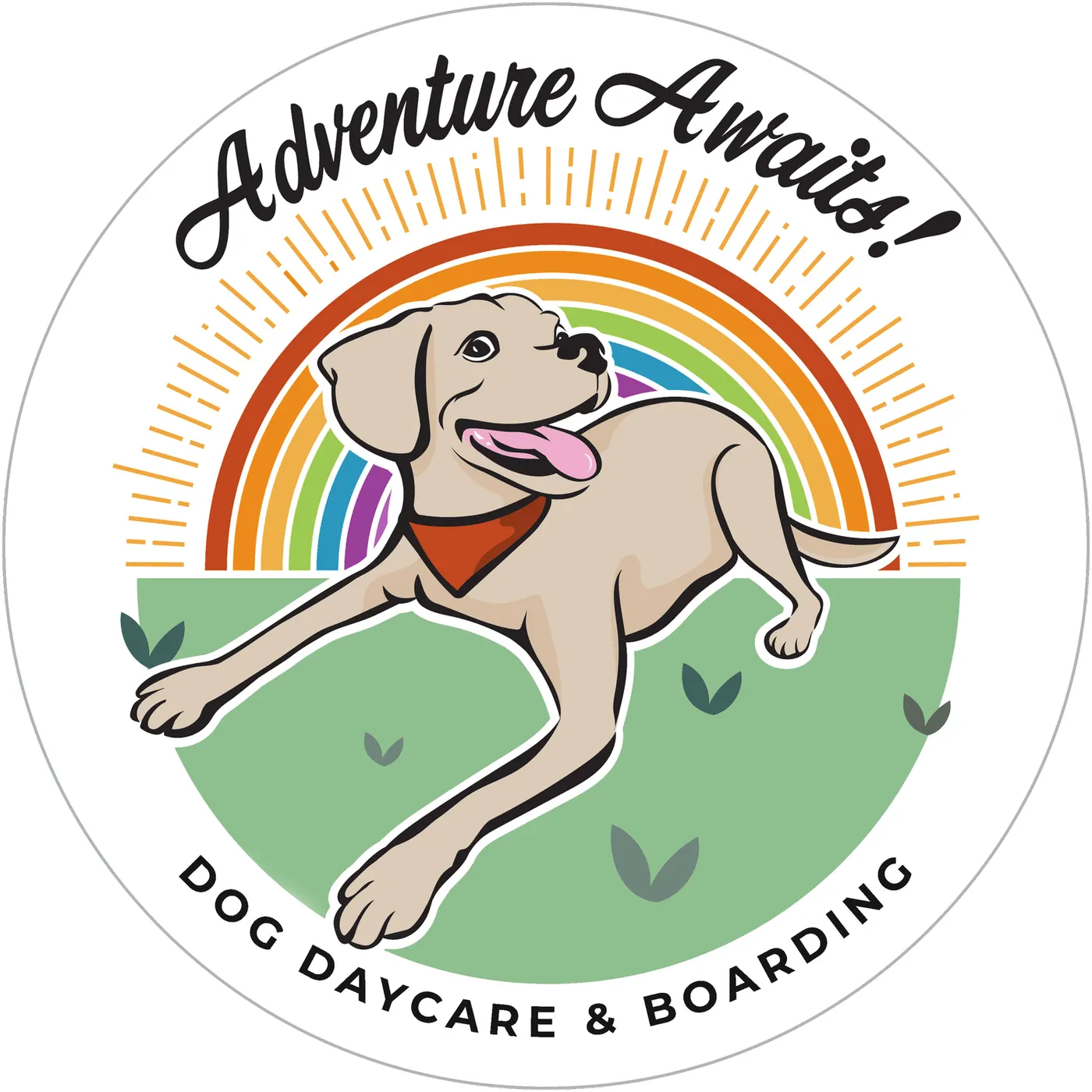 Adventure Awaits Dog Daycare