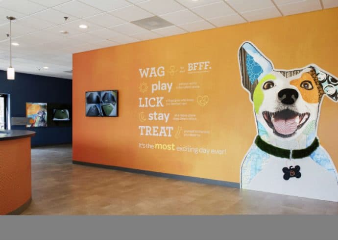 Dogtopia of Fort Worth - Downtown