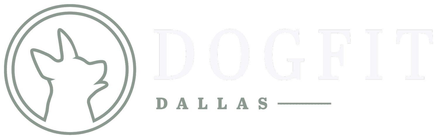 DogFit Dallas