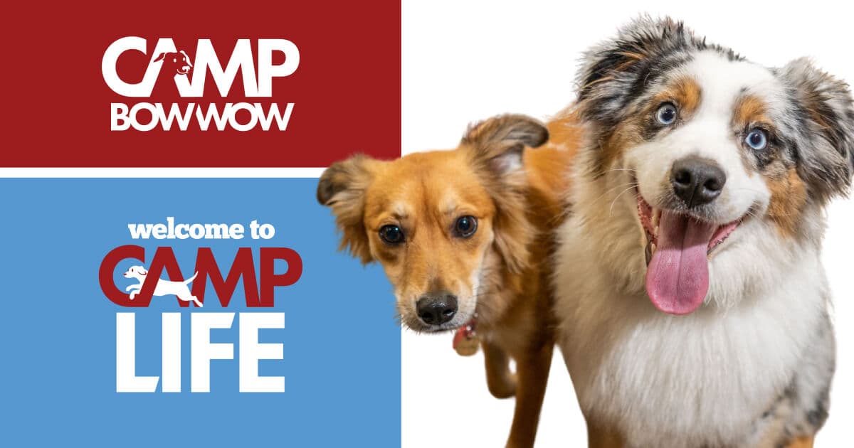 Camp Bow Wow Colleyville West Airport