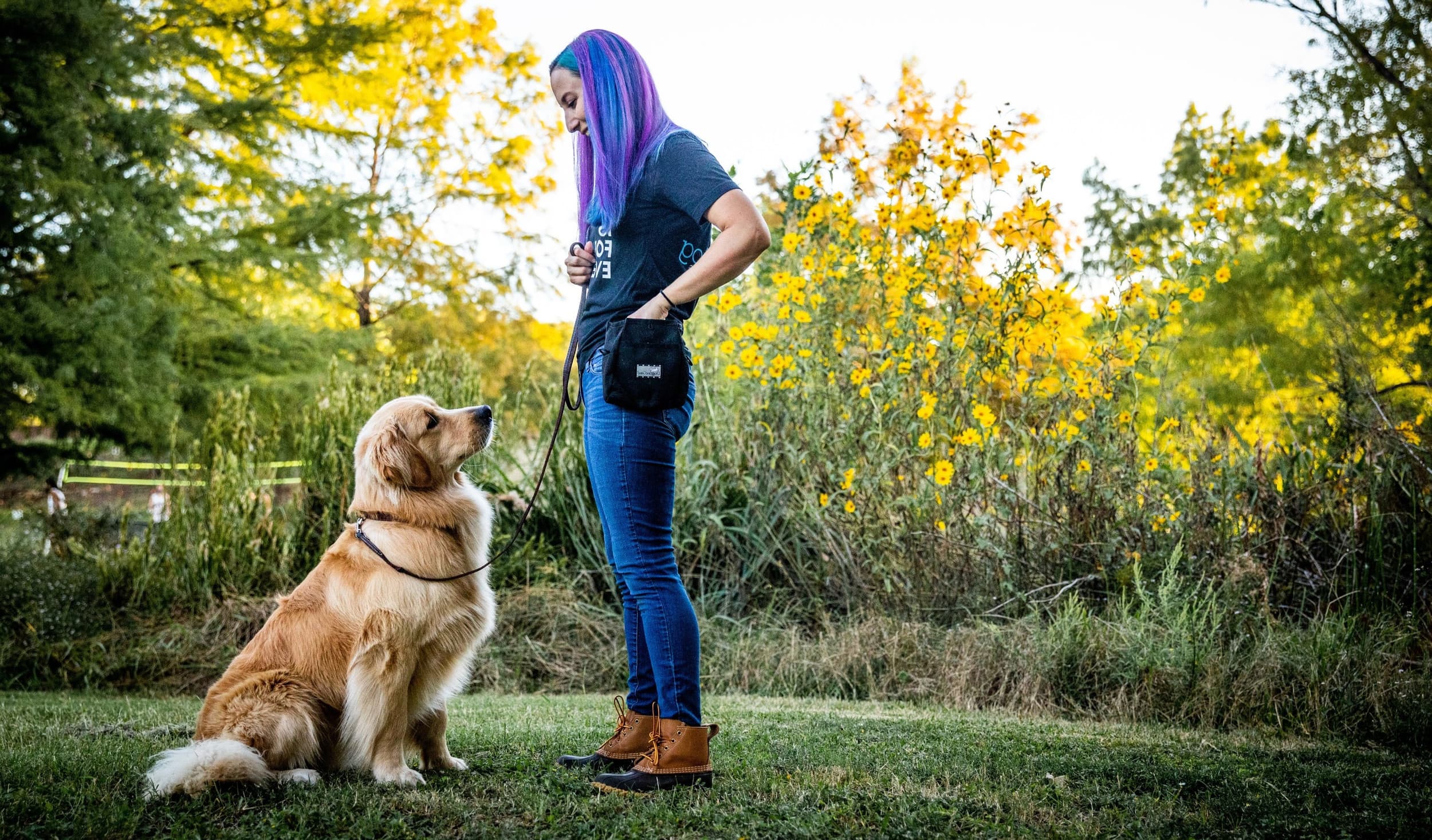 Every Dog Behavior and Training (South)