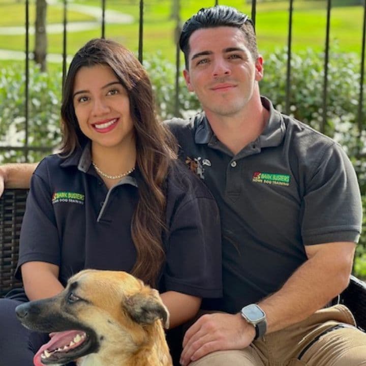 Bark Busters Home Dog Training Houston