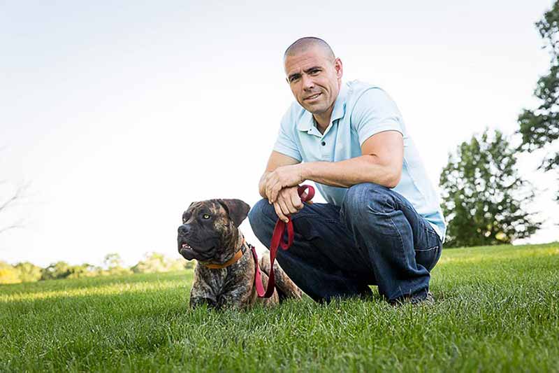 Beyond the Dog - Dog Behavioral Wellness Retreats