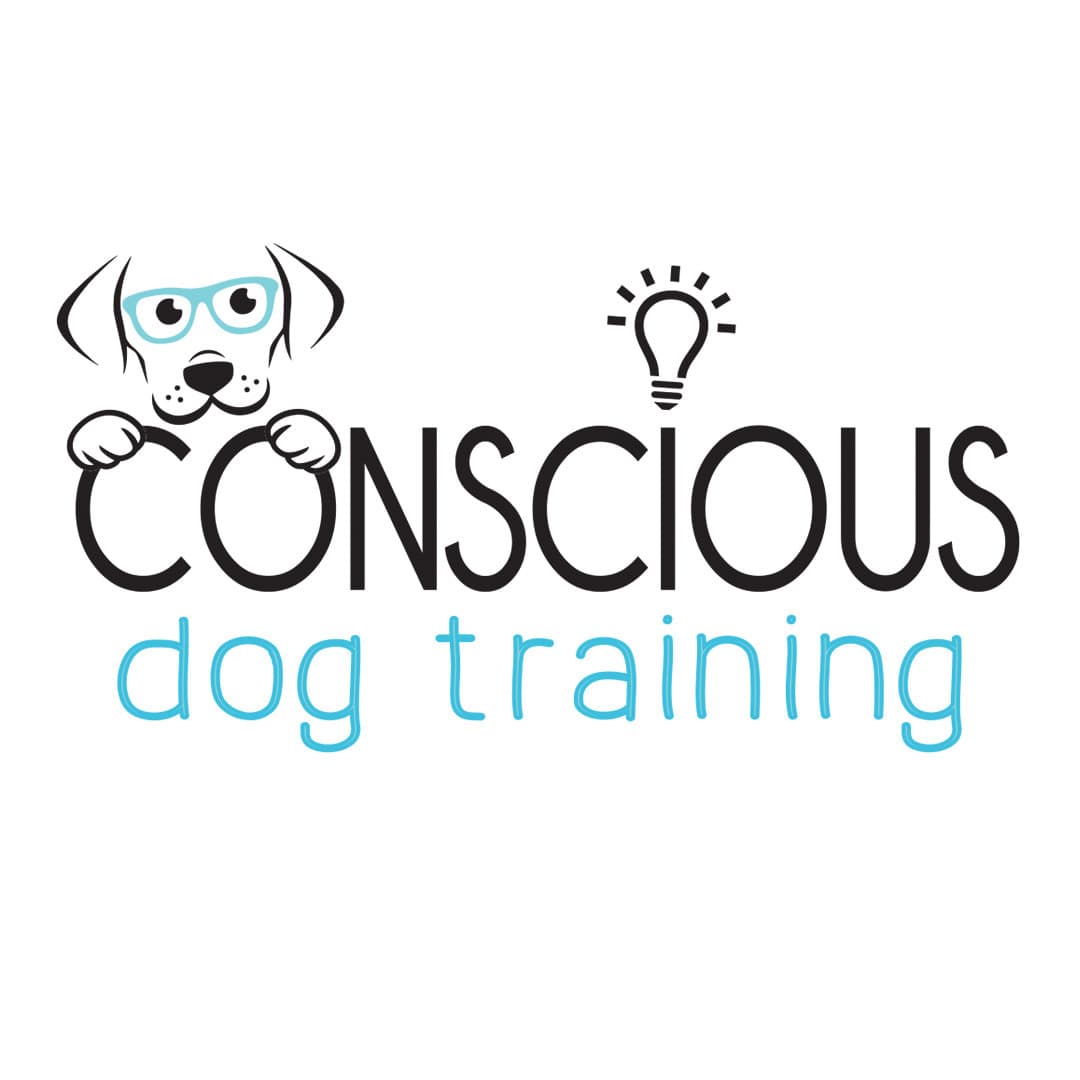 Conscious Dog Training