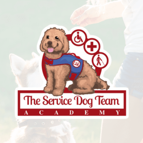 The Service Dog Team Academy