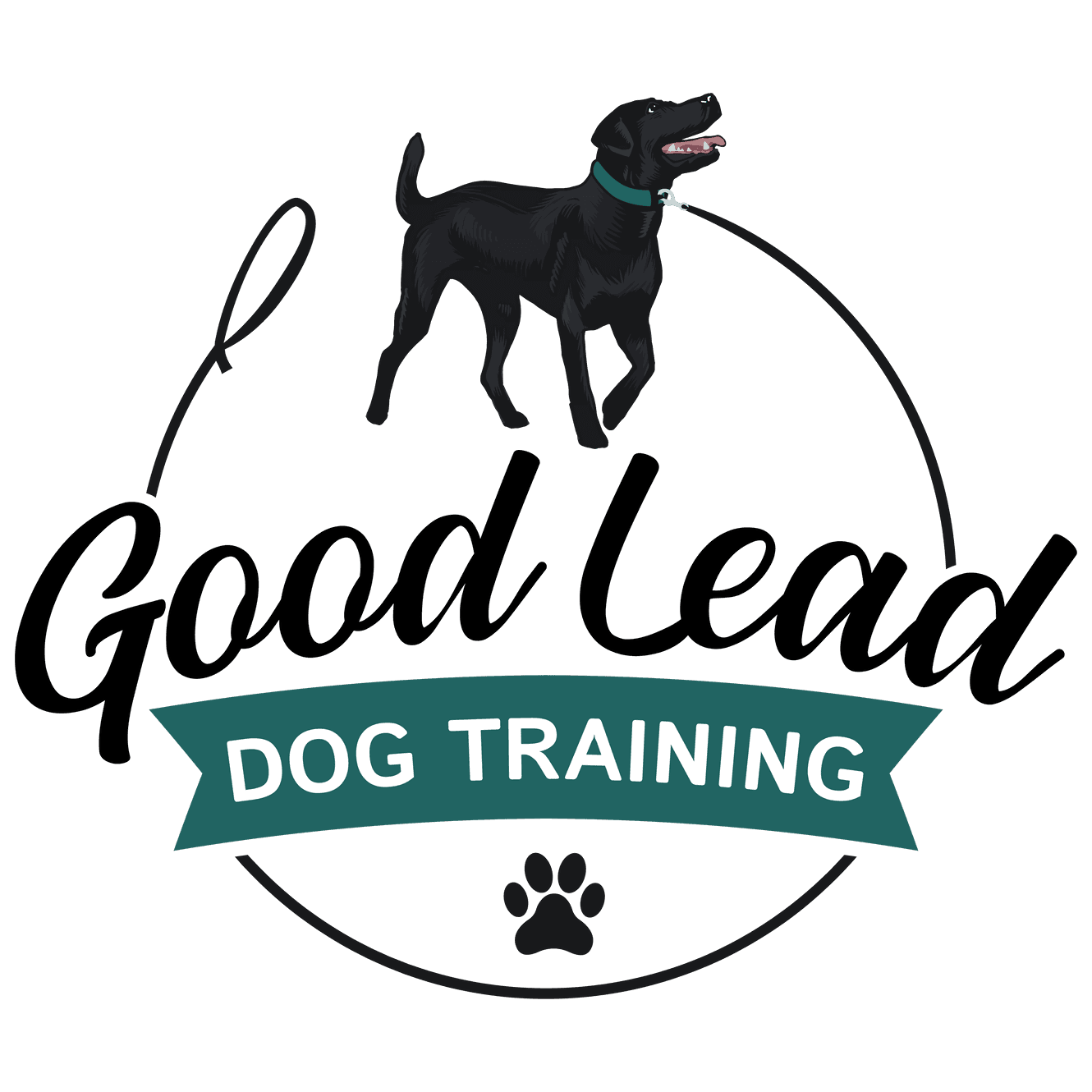 Good Lead Dog Training