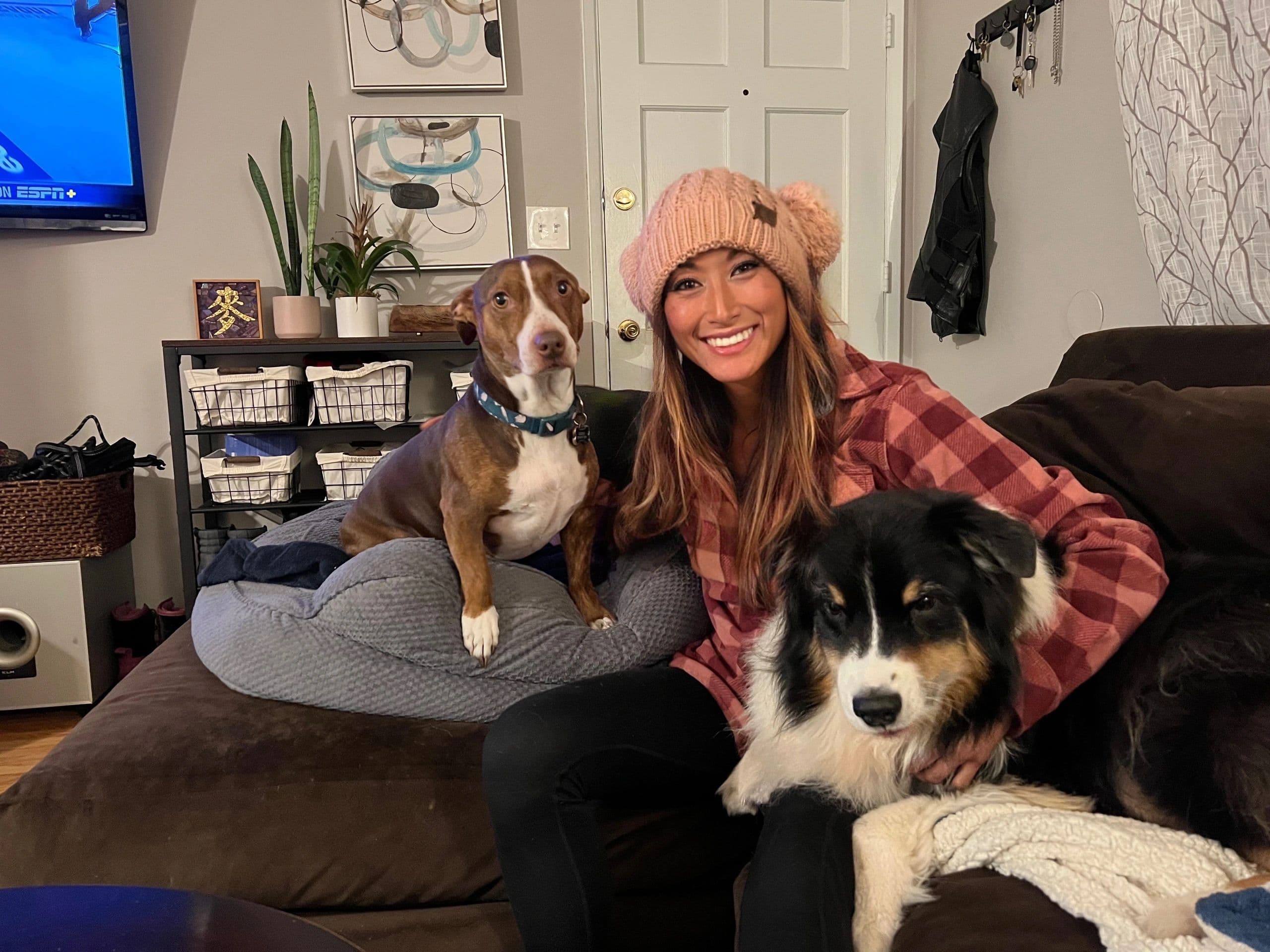 KM Dog Training and Boarding