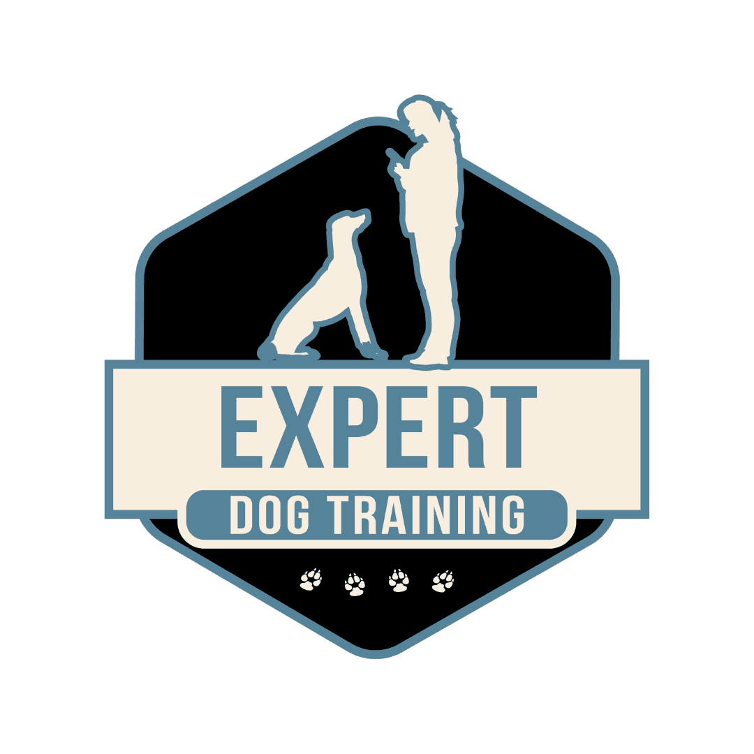 Expert Dog Training