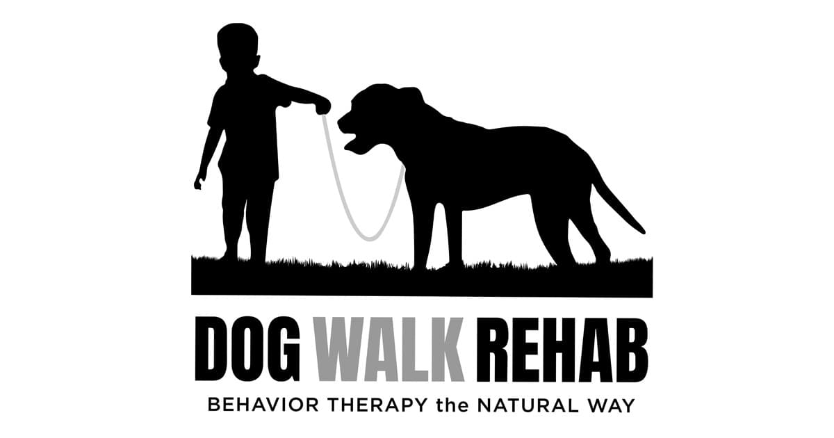 Dog Walk Rehab