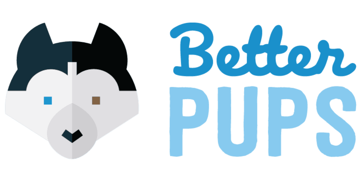 Better PUPS Dallas Dog Training
