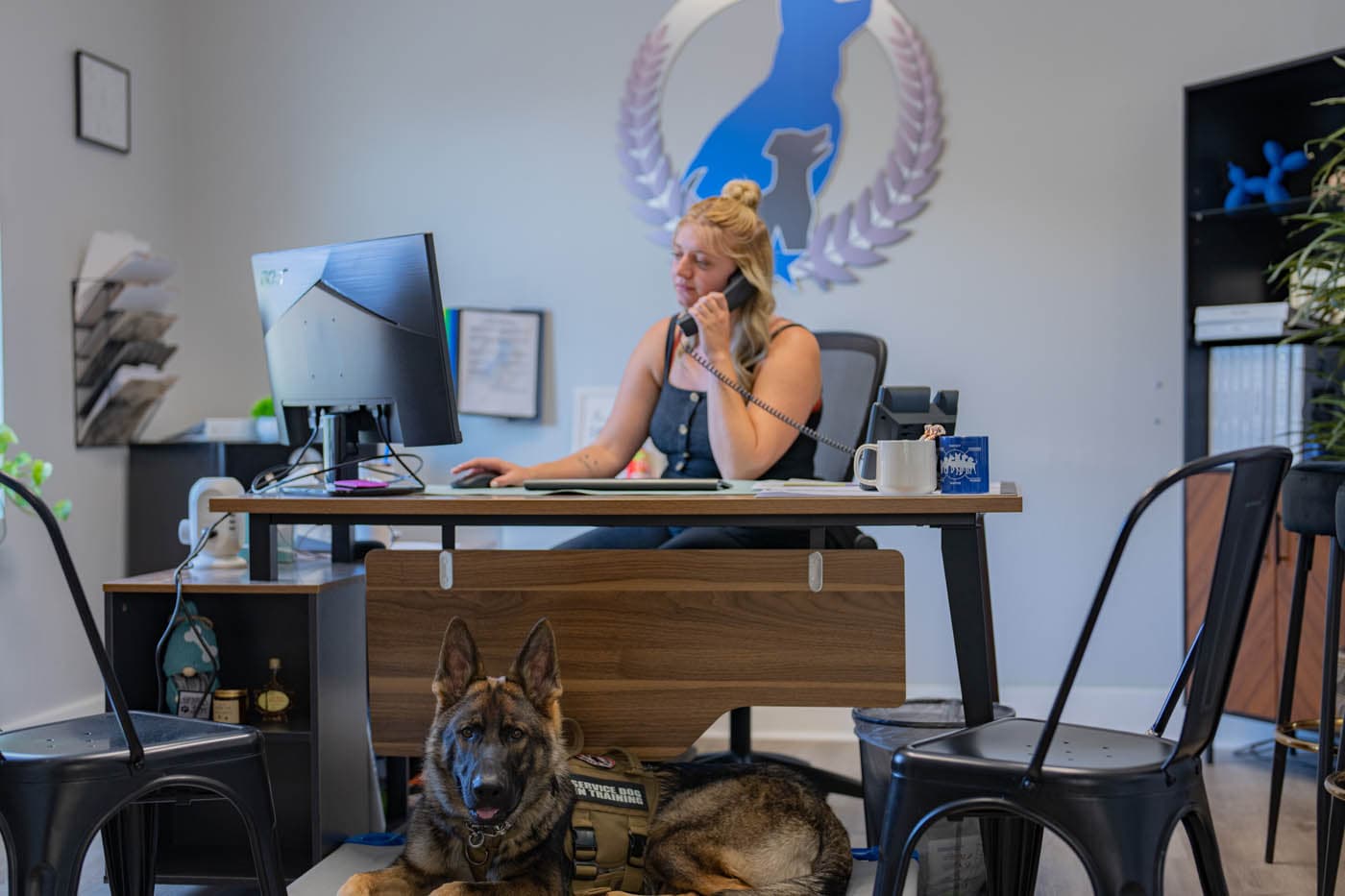 Dog Training Elite New Braunfels