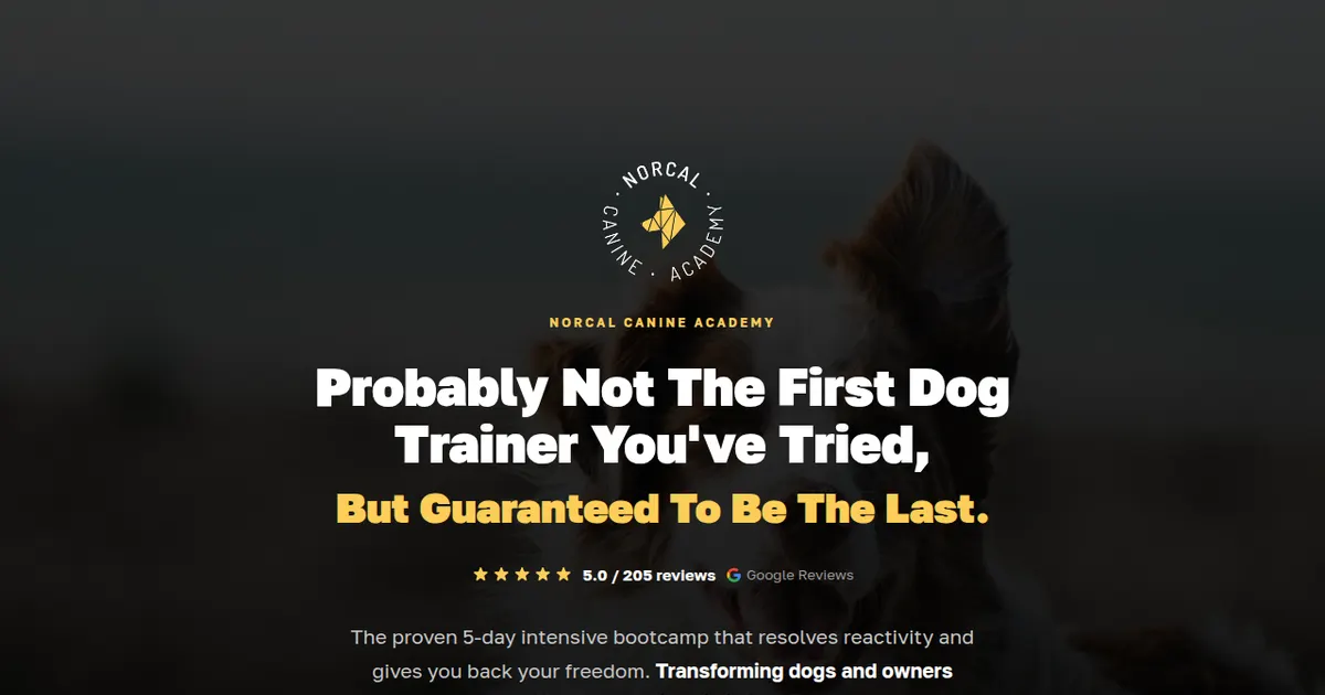 NorCal Canine Academy