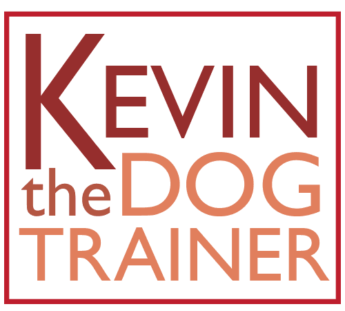 Kevin the Dog Trainer
