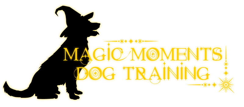 Magic Moments Dog Training