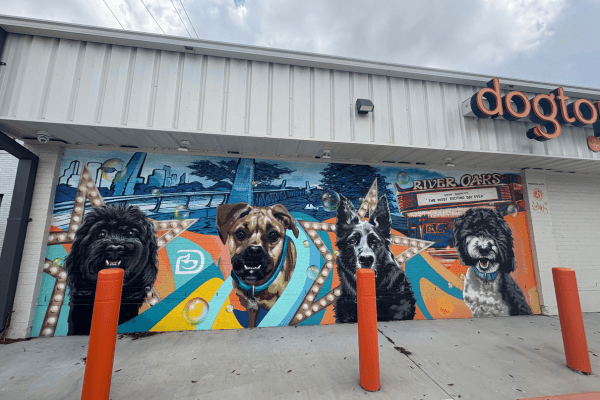 Dogtopia of Houston - Waugh Dr. photo