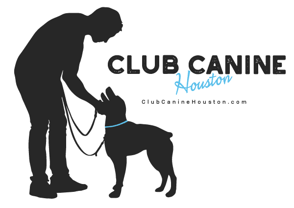 Club Canine Houston LLC photo