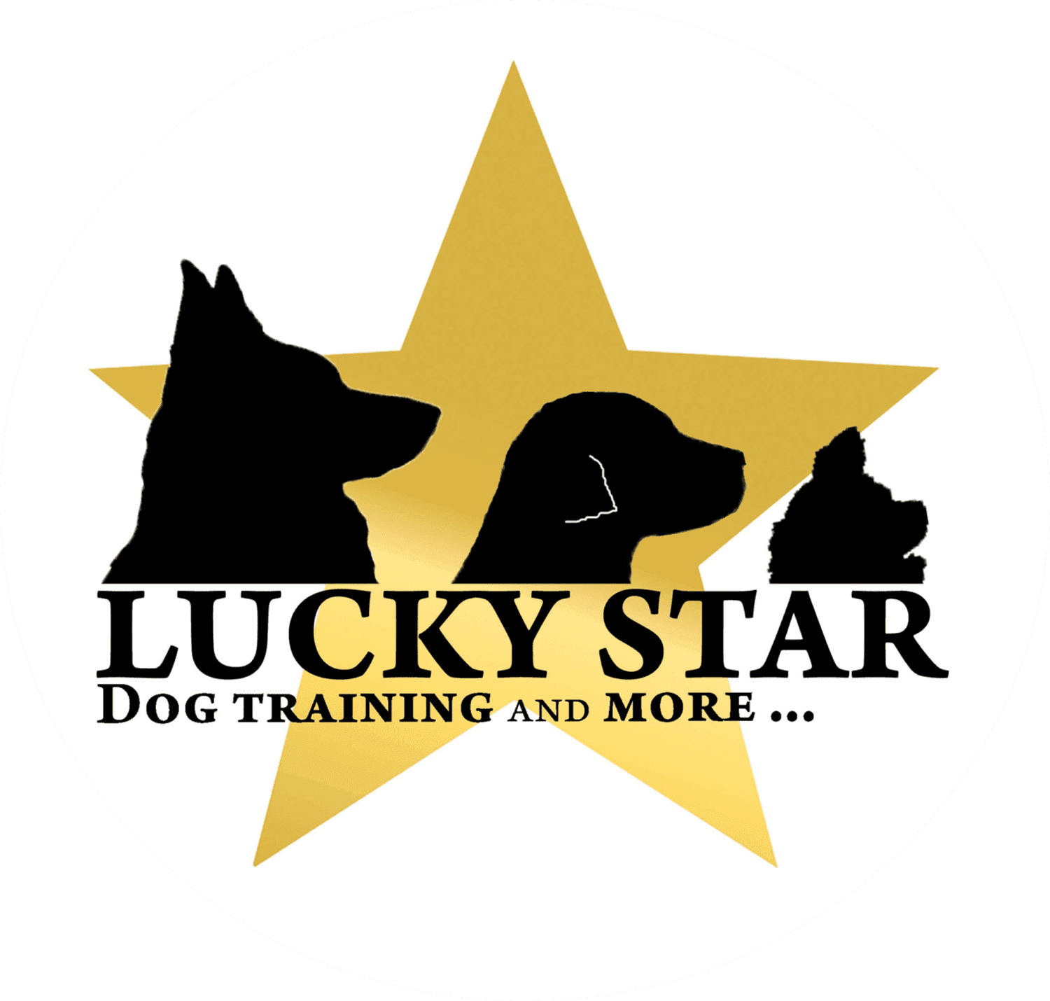 Lucky Star Dog Training
