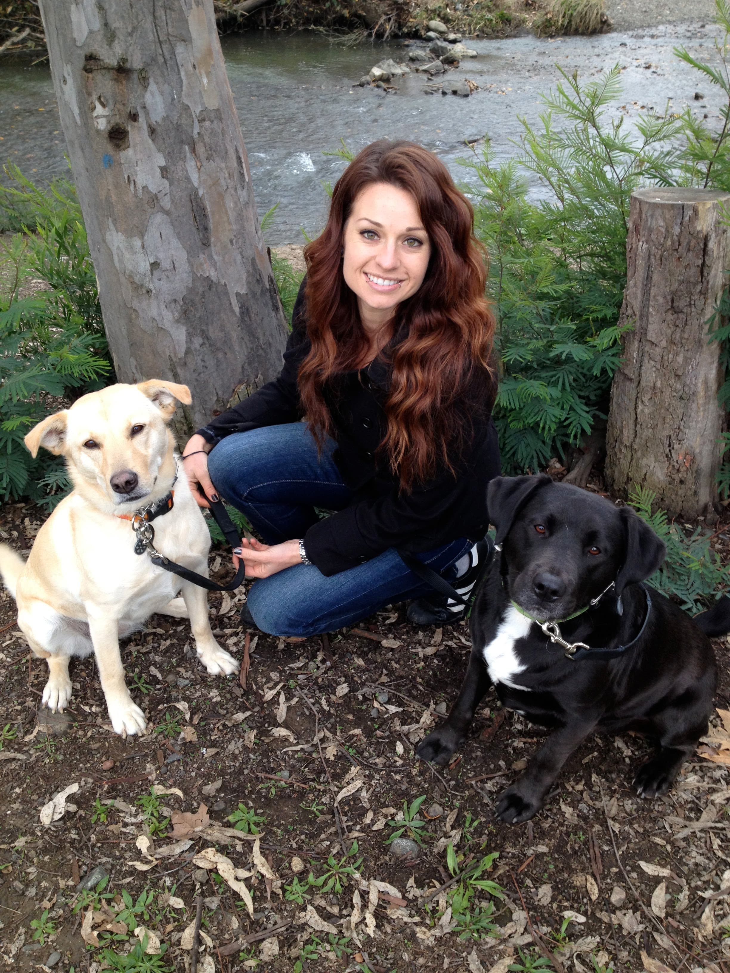 Smart Paws Private Training