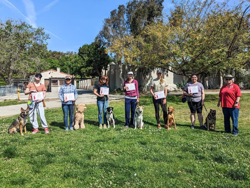 Hollywood Dog Obedience Club
