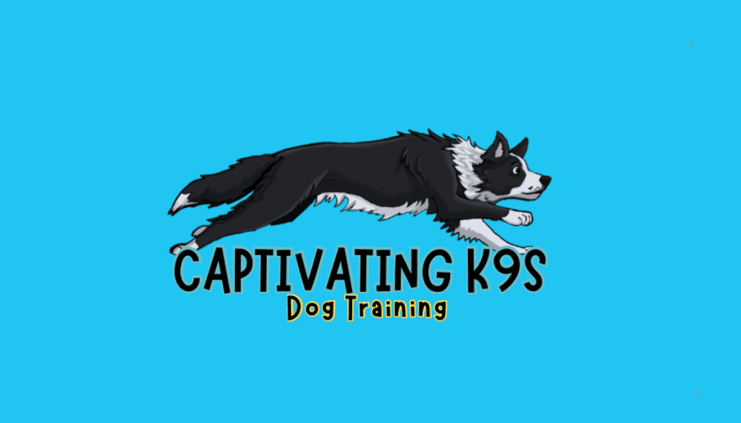 Captivating K9s Dog Training