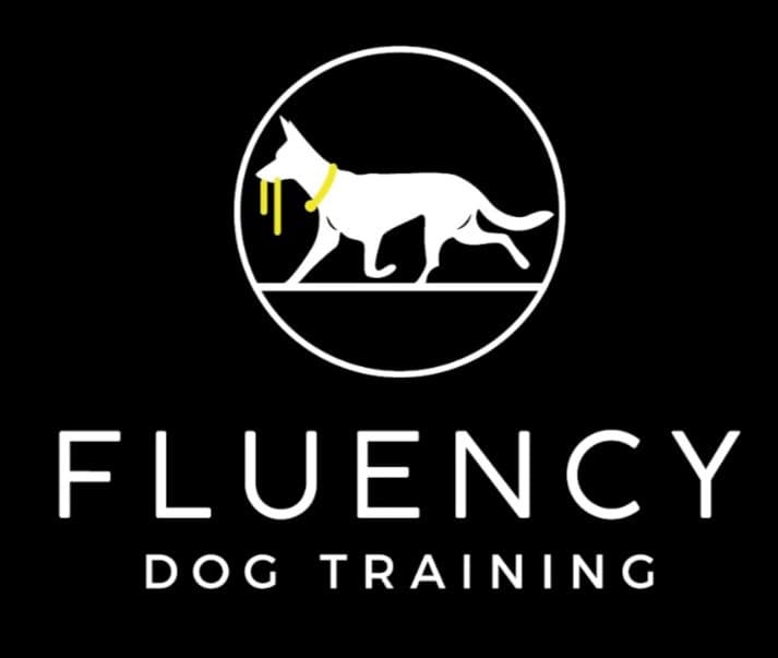 Fluency Dog Training