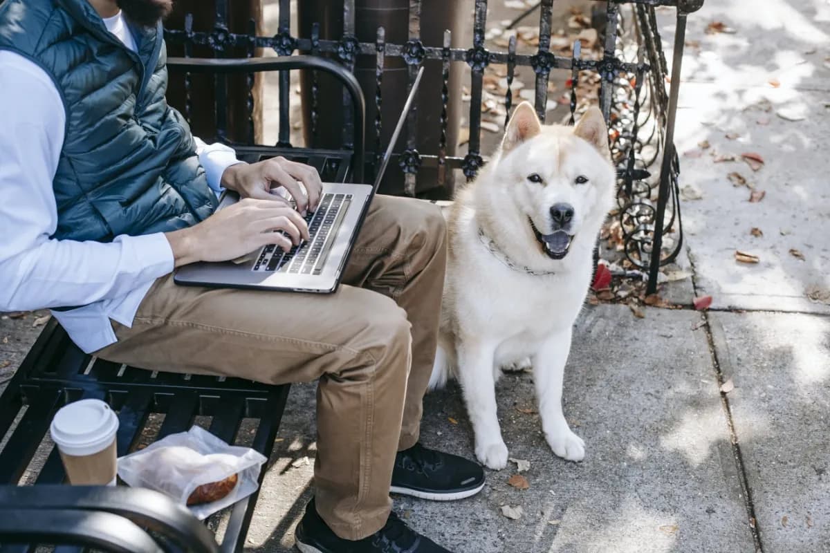 Canine Training Research Group