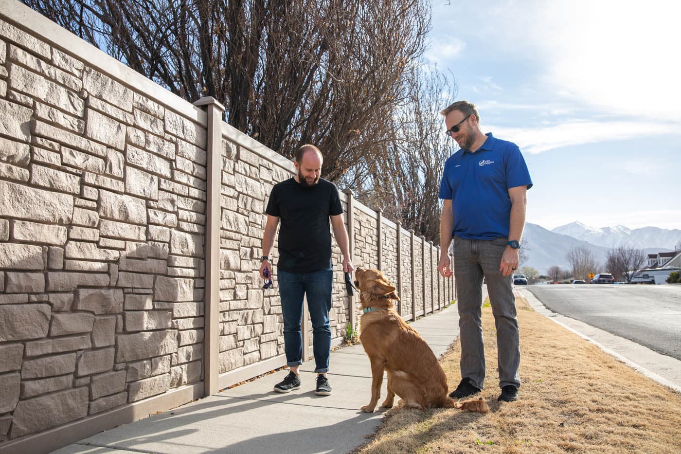 Dog Training Elite Frisco