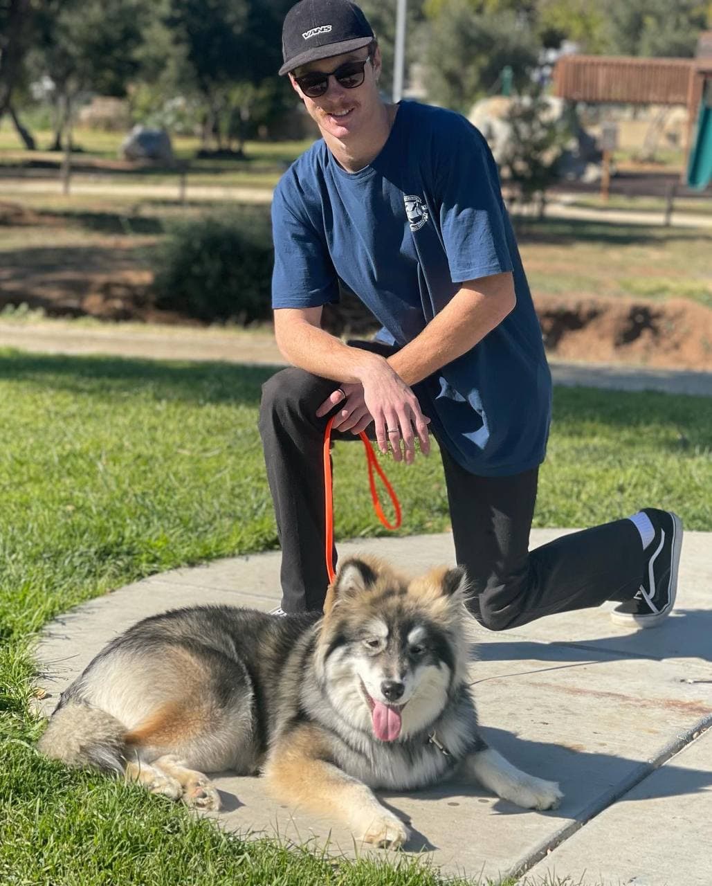 In Line K9 - Dog Training