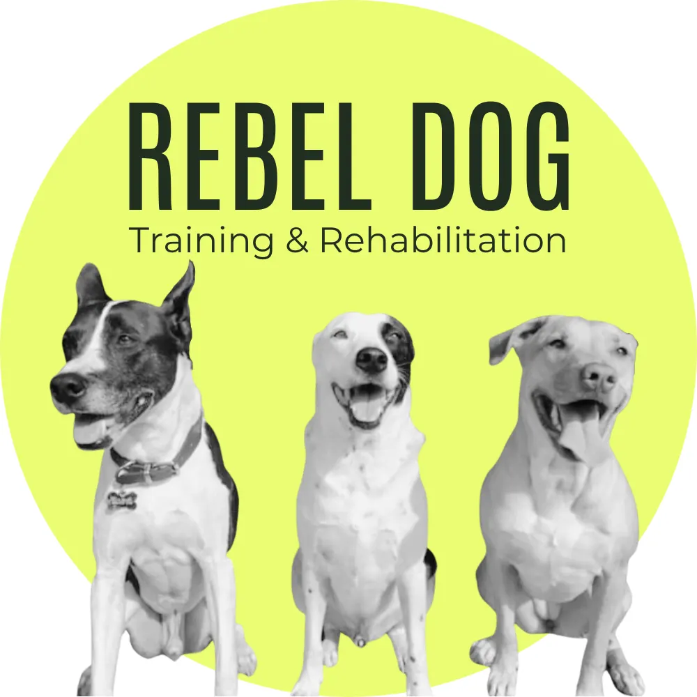 Rebel Dog Training photo
