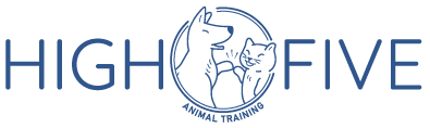 High Five Animal Training