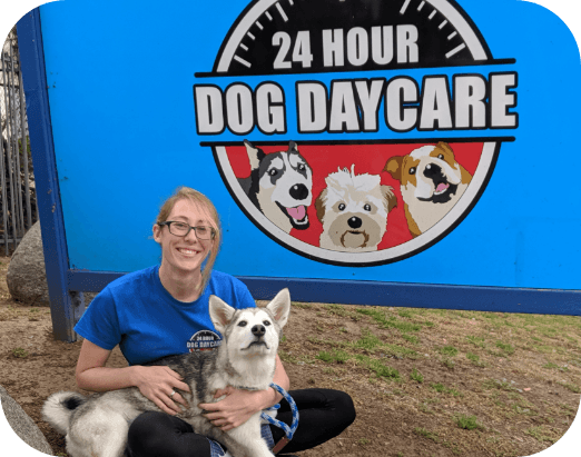 24 Hour Dog Daycare photo