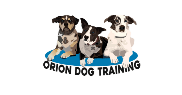 Orion Dog Training