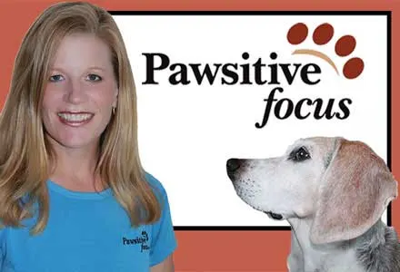 Pawsitive Focus
