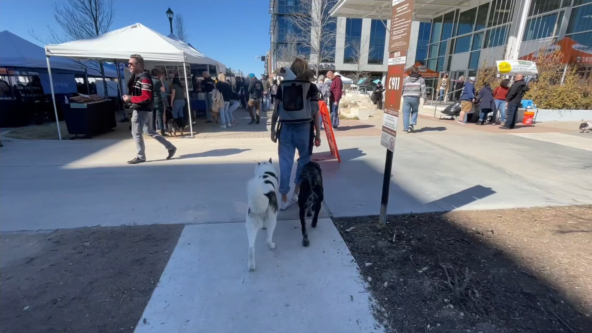 Everywhere K9